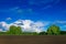 Prepared for sowing farm field, spring landscape