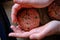 Preparing burger patties, raw burger meat