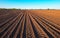 Preparing field for planting