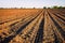 Preparing field for planting. Plowed soil with blue sky