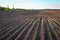 Preparing field for planting. Plowed soil in spring time, two tubes