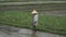 Preparing the field for planting rice