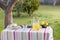 Preparing homemade lemonade in garden table