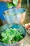 Preparing lettuce in steel bowl