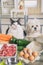 Preparing natural food for pets