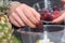 Preparing the Power-Packed Blackberry Smoothie: A Detox Delight