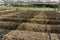 Preparing soil for plantation of the planting nursery under shading net in the vegetables orgarnic