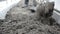 Preparing the soil for winter close-up. A farmer digs up the earth in the greenhouse with a shovel. Earthworks in the garden in