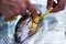 Preparing trouts with lemons, butter and fresh dill.