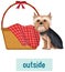 Preposition wordcard with dog and basket