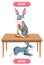 Preposition wordcard with rabbits and table