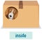 Prepostion wordcard design with dog inside box