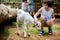 Preschool boy, petting little goat in the kids farm. Cute kind child and baby goat