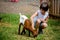 Preschool boy, petting little goat in the kids farm. Cute kind child feeding animals