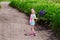 A preschool girl in shorts and a T-shirt walks along the road alone and carries a bouquet of lupine flowers for her mom