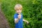 Preschooler boy is exploring nature with magnifying glass. Little child is looking on leaf with magnifier. Summer vacation for