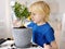 Preschooler boy watering a houseplant calamondin after transplanting into new big flowerpot. Fortunella. Home gardening