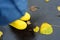 Preschooler boy wearing yellow rain boots walking in autumn park. Golden fallen leaves lying on wet dark asphalt. Outdoor