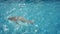 Preschooler child swims and dives in an empty pool