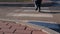 A preschooler crosses the road on a zebra at a pedestrian crossing, slow motion