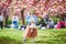 preschooler girl in tutu skirt enjoying nice spring day in cherry blossom garden