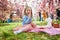 preschooler girl in tutu skirt enjoying nice spring day in cherry blossom garden