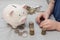 A preschooler puts Russian coins in a pile, counts pocket money. Next to it is a piggy Bank, which stores the accumulated funds.