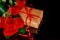 Present gift box with red ribbon and bouquet of beautiful red roses. Mothers Day