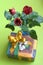 The Present Session, Bouquet of Three Roses with Gift Box on background