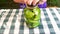 Preservation of cucumber vegetables in a glass jar.