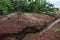 Preservation of small river in rural property. River spring in Brazil. Forest around the river. Area environmental preservation