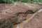 Preservation of small river in rural property. River spring in Brazil. Forest around the river. Area environmental preservation