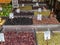 Preserved olives and fruits at athens central market