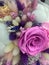 Preserved rose whit bright dried flowers of lilac, pink and natural color with white cereal and cotton.