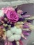 Preserved rose whit bright dried flowers of lilac, pink and natural color with white cereal and cotton inflorescences
