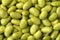 Preserved steamed edamame beans close up full frame