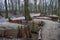 The preserved trenches at Hill 62 Sanctuary Wood on the Western Front near Ypres