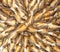 Preserving food - Top view of salted dried mullet fish arrange on bamboo wicker