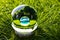Preserving Our Planet  A Glass Globe on Grass.AI Generated