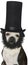 President Abraham Lincoln Dog Isolated