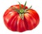 President Garfield ribbed heirloom tomato  Solanum lycopersicum fruit, whole, isolated