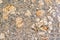 Pressed cork texture surface background