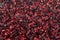 Pressed grape pomace, seeds and skins. Winemaking background