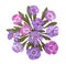 Pressed phlox applique