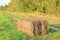 Pressed straw briquettes of harvest on a field. Harvesting dry grass for agriculture or farmer.