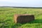 Pressed straw briquettes of harvest on a field. Harvesting dry grass for agriculture or farmer.