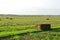 Pressed straw briquettes of harvest on a field. Harvesting dry grass for agriculture or farmer. Ecological fuel in straw