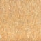 Pressed wooden panel background, seamless texture of oriented st