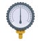 Pressure manometer icon, cartoon style