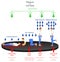 Pressure and Unit Area Infographic Diagram